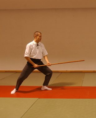 Tornado_2_b (Teaching martial arts)