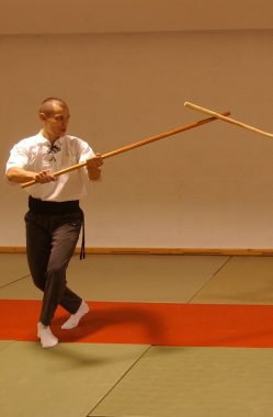 Tornado_4_b (Teaching martial arts)