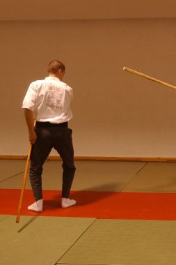 Tornado_5_b (Teaching martial arts)