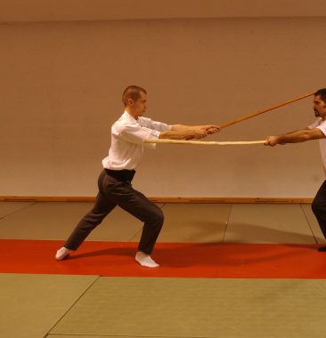 Tornado_7_b (Teaching martial arts)