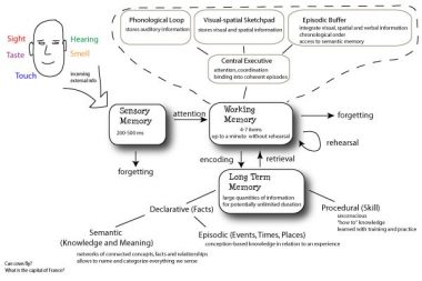 1 (Skill training vs. strength training) 1 (Skill training vs. strength training)
