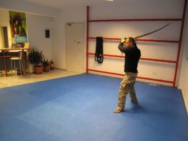 img_13271 (The use of sword behind the shield wall and phalanx)