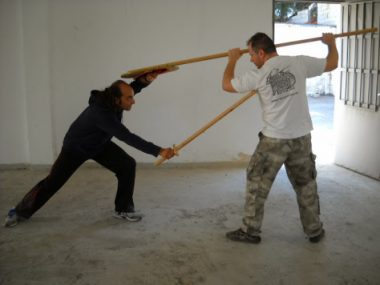 βυ1 (The use of sword behind the shield wall and phalanx)