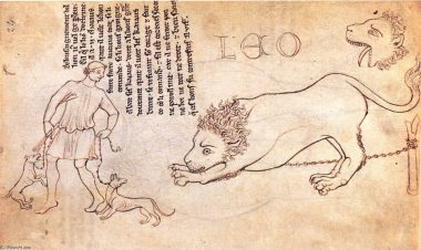 Villard-De-Honnecourt-Lion-drawn-from-life-2- (Resources on Medieval Literacy, Part II)