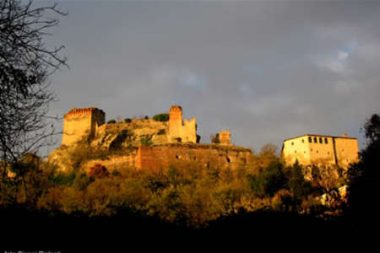 image7 (Historical overview of the Vadi family)
