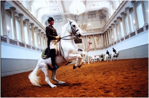 Spanish riding school in Vienna. Traditional European culture has many faces.