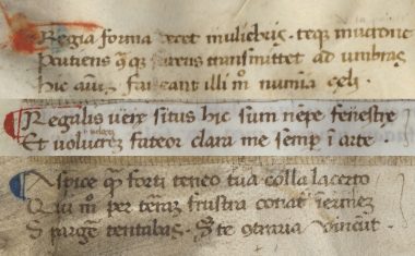 Damage, notes, and corrections on Florius pages