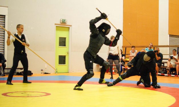 Awards for Technical Excellence in HEMA Tournaments