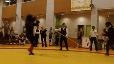 galas-matt-technical-awards-01 (Awards for Technical Excellence in HEMA Tournaments)
